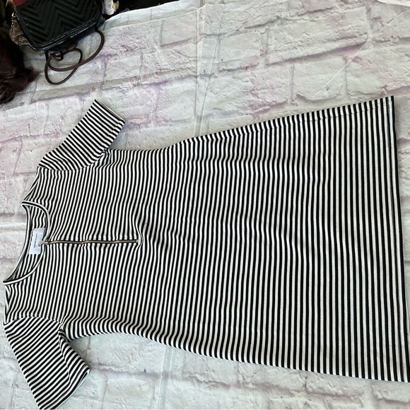 Current/Elliott Leighton Mini Dress in Black and White Stripe Size 1 - Picture 6 of 7